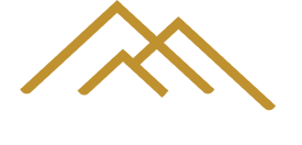 fractional CFO financial dashboard - DMW Advisory