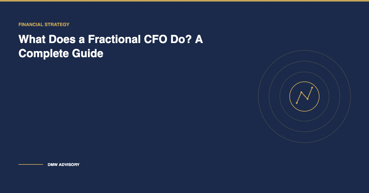 What does a fractional CFO do guide